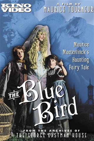 The Blue Bird (Silent) poster
