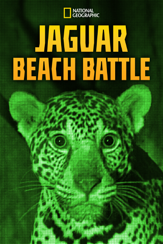 A Luta na Praia do Jaguar poster