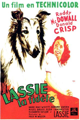 Fidèle Lassie poster