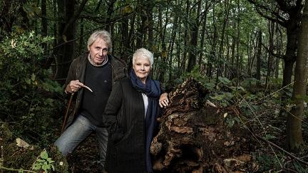 Judi Dench: My Passion for Trees poster