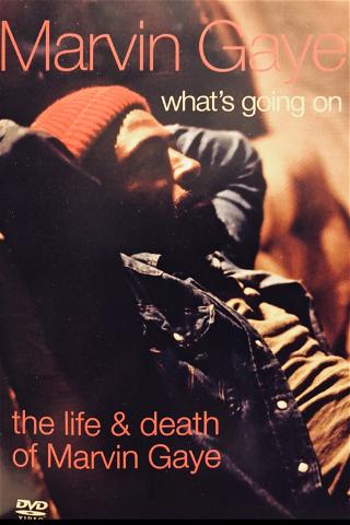 What's Going On: The Life and Death of Marvin Gaye poster
