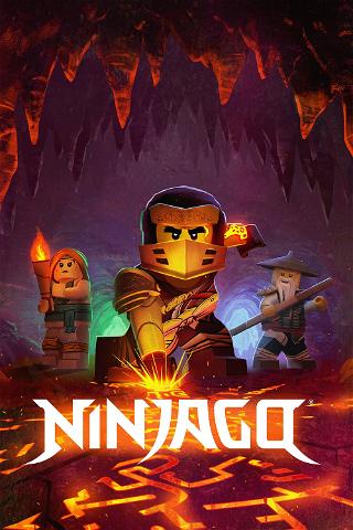 NinjaGo poster