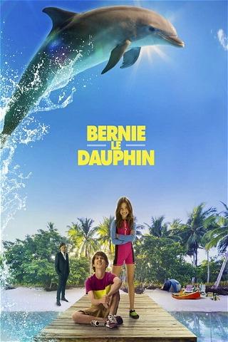 Bernie le dauphin poster