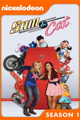 Sam & Cat poster