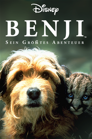Benji, sein größtes Abenteuer poster