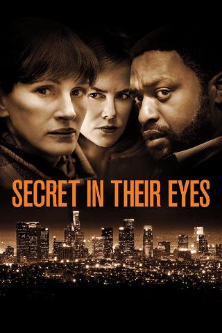 Secret in Their Eyes poster