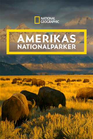 Amerikas nationalparker poster