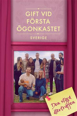 Married at First Sight: Sweden - den stora återträffen poster
