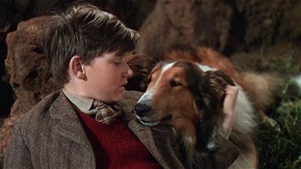 Lassie, la cadena invisible poster