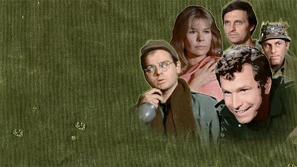 M*A*S*H: The Comedy That Changed Television poster