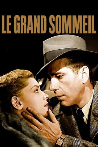 Le Grand Sommeil poster