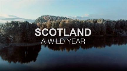 Skottland: Ett år med vild natur poster