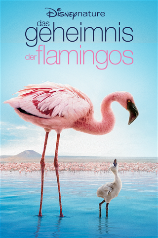 Auf purpurnen Schwingen: Das Geheimnis der Flamingos poster