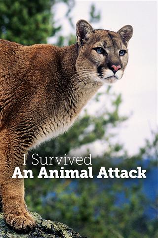 I Survived An Animal Attack poster