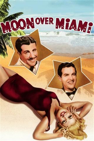 Moon Over Miami poster