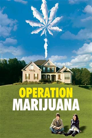 Operation Marijuana poster