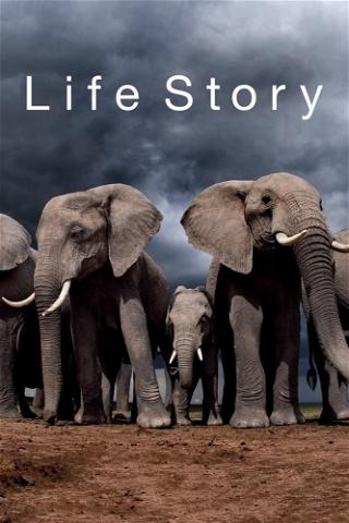Life Story poster