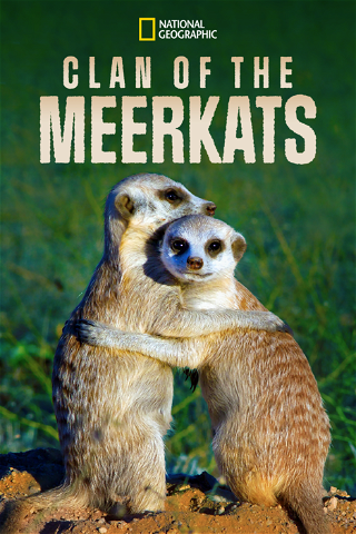 Clan of the Meerkats poster