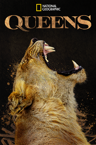 Queens poster