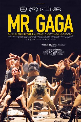 Mr. Gaga poster