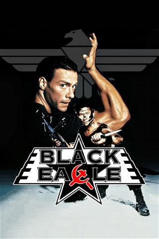Black Eagle poster
