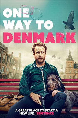 One Way to Denmark poster