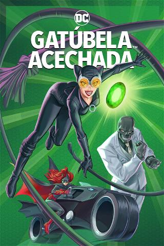 Catwoman: La caza poster