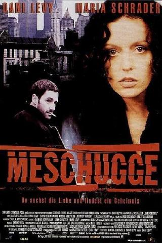 Meschugge poster