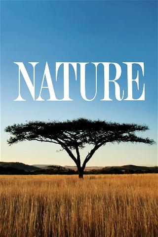 Nature poster