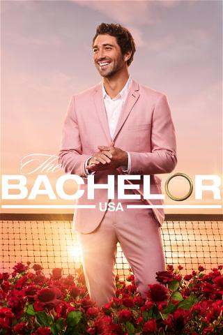 Bachelor poster