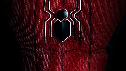 Homem-Aranha: Todos os Caminhos Levam a 'Sem Volta para Casa' poster