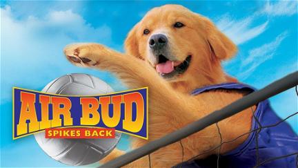 Air Bud 5 - Spikes Back poster
