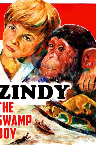 Zindy The Swamp Boy poster