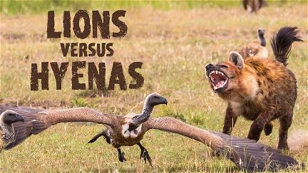 Lions Versus Hyenas poster