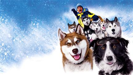 Neve pra Cachorro poster