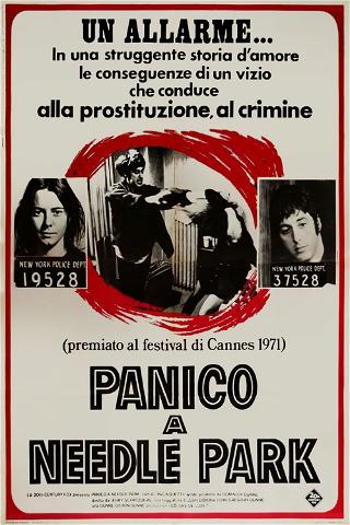 Panico a Needle Park poster