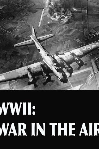 WWII: War In The Air poster