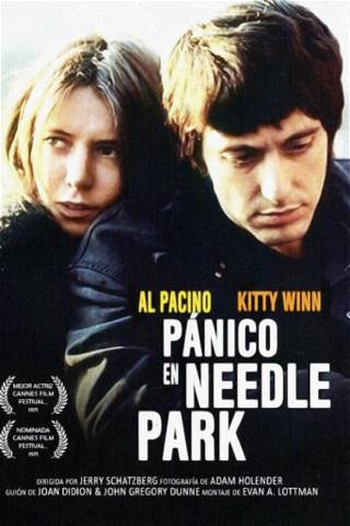 Pánico en Needle Park poster