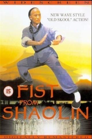 Fist from Shaolin poster
