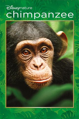 Disneynature: Chimpanzee poster