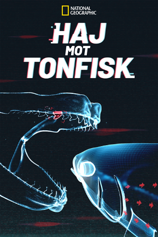 Haj mot tonfisk poster