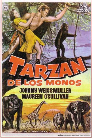 Tarzán de los monos poster