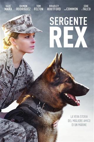 Sergente Rex poster