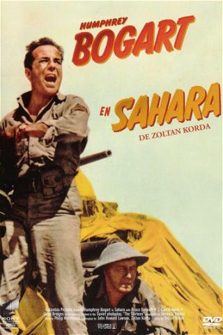 Sahara poster