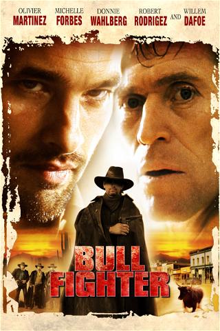 Bullfighter poster