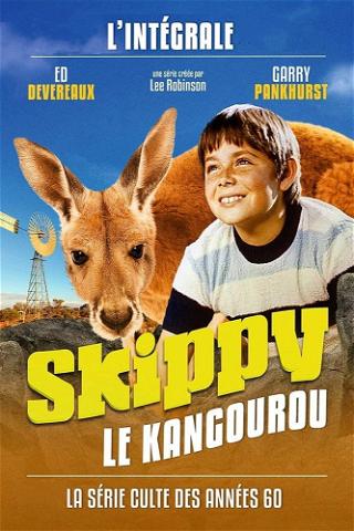 Skippy, le kangourou poster