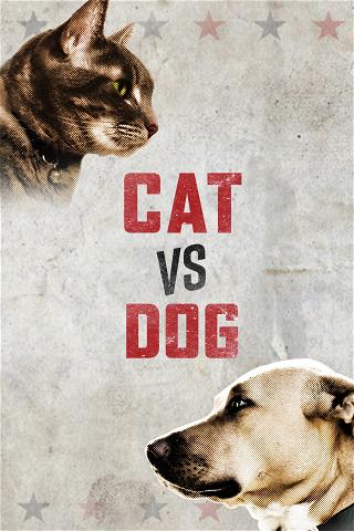 Cat vs Dog poster