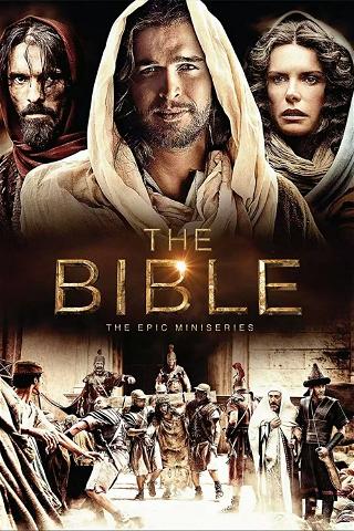 A Bíblia poster