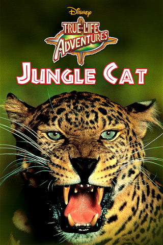 Jungle Kat poster