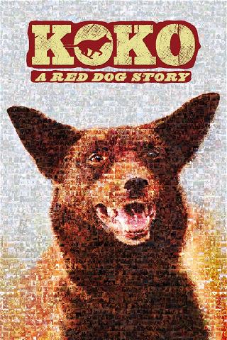 Koko: A Red Dog Story poster